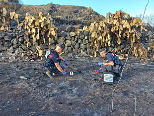 pantelleria-denunciato-il-presunto-responsabile-di-un-incendio