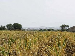 tragedia-a-nubia-ritrovato-senza-vita-lanziano-scomparso