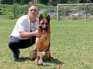 trofeo-per-bonny-pastore-tedesco-dellallevamento-mazarese-casa-catalano