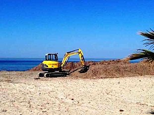 mazara-via-libera-alla-rimozione-ed-all-accantonamento-temporaneo-di-posidonia-e-palle-di-mare