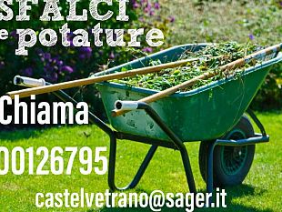 attivo-il-numero-verde-per-il-ritiro-degli-sfalci-da-potatura-a-triscina-e-marinella-di-selinunte