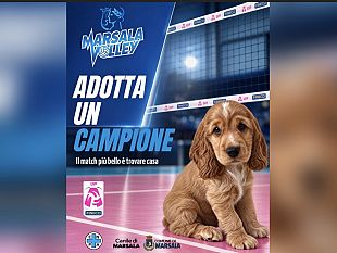 marsala-una-schiacciata-contro-labbandono-domenica-al-palasport-torna-adotta-un-campione