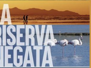 la-riserva-negata-convegno-sul-futuro-dello-stagnone-di-marsala-sabato-14-febbraio-2026