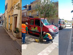 mazara-vivai-natura-verde-al-lavoro-per-il-decoro-urbano