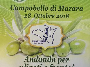 campobello-domenica-28-ottobre-passeggiata-in-moto-depoca-andando-per-uliveti-e-frantoi