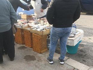 db-circolotrapanierice-ancora-venditori-abusivi-nei-pressi-del-mercato-ortofrutticolo-lungomare-di-trapani