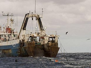 fai-flai-uila-pesca-siciliana-minacciata-da-un-decreto-ministeriale-appello-alla-regione-in-difesa-delle-31-marinerie-dellisola