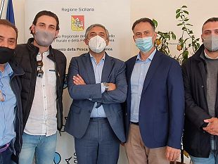 diventera-bellissima-incontra-lassessore-scilla-per-problematiche-legate-alla-c