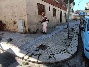 trapani-lavori-di-scerbatura-in-corso-in-citta