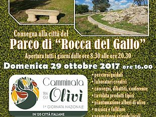 riapre-il-parco-urbano-di-rocca-del-gallo-a-campobello-di-mazara