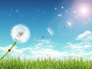 la-vita-e-un-soffio-imparate-ad-amare-e-a-non-sprecare-il-tempo
