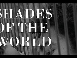 inaugurazione-mostra-fotografica-shades-of-the-world-dellassociazione-terra-sonora-di-trapani