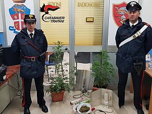 erice-coltivazione-e-spaccio-di-droga-arrestato-un-trapanese
