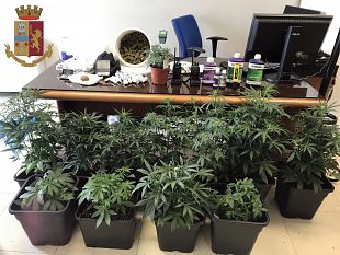 arresto-in-flagranza-di-due-cittadini-mazaresi-per-coltivazione-e-produzione-di-marijuana