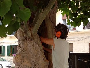 associazione-erythros-le-eritrine-vanno-salvaguardate
