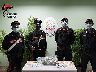 castelvetrano-1-kg-di-droga-piante-e-soldi-in-contanti-2-arresti