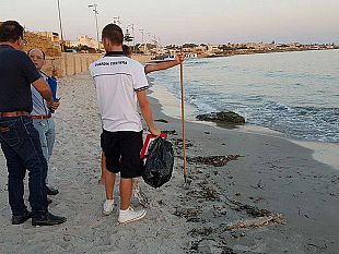 video-svelato-mistero-delle-interiora-a-pochi-metri-dalla-spiaggia-sarebbero-resti-di-un-pesce