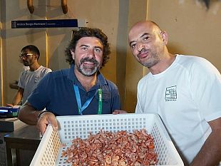 video-stelle-sul-mazzaro-2019-intervista-antico-borgo-marinaro