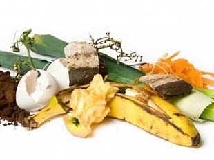 marsala-rifiuto-organico-va-depositato-in-sacchetti-biodegradabili