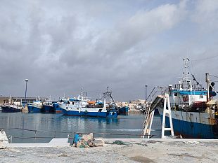pesca-ripresa-delle-attivita-nel-mese-di-dicembre-dopo-il-lungo-stop-imposto-dallunione-europea