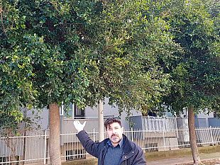 video-mazara-alberi-non-potati-da-circa-3-anni-grossi-disagi-per-residenti-in-via-ciullo-d-alcamo-il-comune-non-ha-risposto