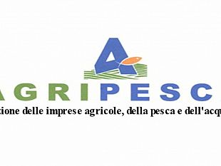 agripesca-toni-scilla-felice-per-il-rilascio-dellafrodite-pesca-e-del-matteo-mazzarino-questi-episodi-non-devono-mai-piu-verificarsi