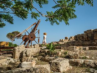 castelvetrano/a-selinunte-e-segesta-rinascita-seminiamo-il-paradiso-per-la-riforestazione