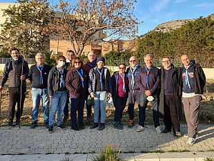 trapani-piantati-25-nuovi-alberi-in-viale-marche