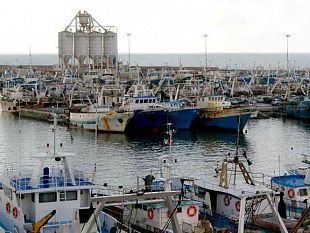 op-della-pesca-sicilia-nasce-il-primo-coordinamento