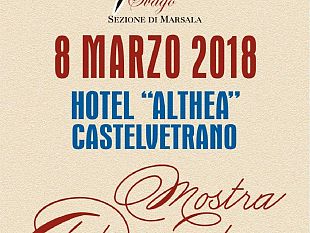 mostra-artigianato-la-festa-della-donna-organizzata-pro-loco-ago-svago