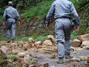 un-milione-di-euro-per-la-gestione-forestale-in-sicilia-speranze-aggiuntive-per-i-lavoratori