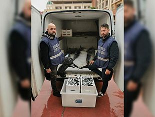 controlli-serrati-sulla-filiera-ittica-da-parte-della-guardia-costiera-di-trapani