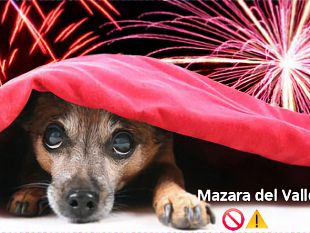 mazara-stop-ai-botti-di-capodanno-un-appello-per-il-benessere-di-tutti