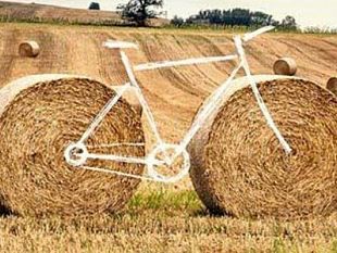 il-tour-sic2sic-in-bici-attraverso-la-rete-natura-2000-fa-tappa-a-mazara-del-vallo-mercoledi-9-settembre-alle-ore-1930-al-collegio-dei-gesuiti