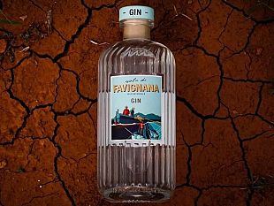 sul-mercato-arriva-il-gin-prodotto-a-favignana