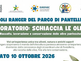 schiaccia-le-olive-i-piccoli-ranger-del-parco-di-pantelleria-alla-scoperta-dellolivocoltura