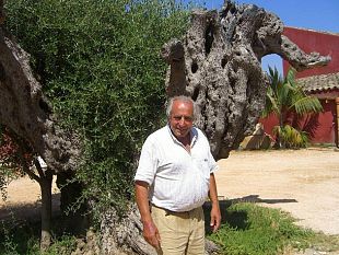 castelvetrano-cadono-le-accuse-di-associazione-mafiosa-nei-confronti-di-gianfranco-becchina