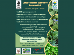 wwf-mazara-domani-corso-sulle-erbee-spontanee-commestibili