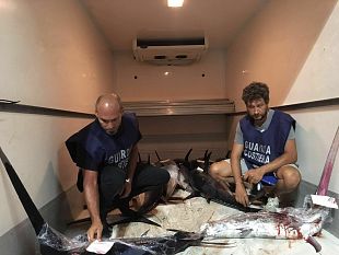 sequestrati-oltre-500-kg-di-prodotti-ittici-poi-devoluto-in-beneficienza