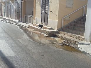 marinella-di-selinunte-in-via-marco-polo-il-fiume-continua-a-scorrere-se-qualcuno-non-riparera-il-guasto