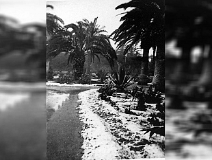la-grande-nevicata-del-56-quando-trapani-si-ricopri-di-bianco