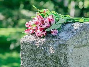 ultime-della-sera-un-fiore