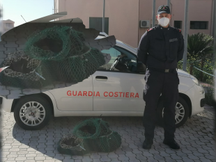 sequestrati-circa-300-esemplari-ricci-di-mare