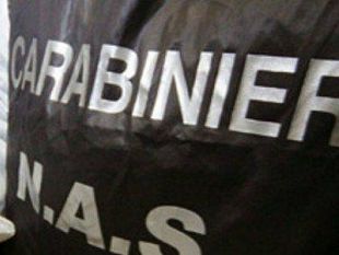 carabinieri-nas-palermo-ispezionati-esercizi-pubblici-nel-trapanese-sequestrate-circa-70-tonnellate-di-alimenti-vari-tra-carne-suina-prodotti-ittici-e-olive-da-mensa