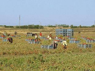 romeni-vittime-di-sfruttamento-lavorativo-e-prostituzione-liberati-dalla-polizia-a-ragusa