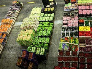 marsala-autotrasporti-e-criminalita-organizzata-sequestrati-beni-per-2-mln-al-marsalese-carmelo-gagliano