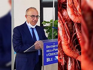 mazara/preoccupazione-per-il-blocco-della-pesca-del-gambero-rosso-nel-mar-tirreno