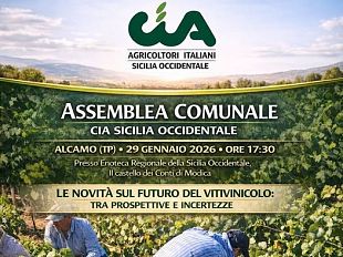 prospettive-e-incertezze-del-settore-vitivinicolo-ad-alcamo-lassemblea-comunale-della-cia