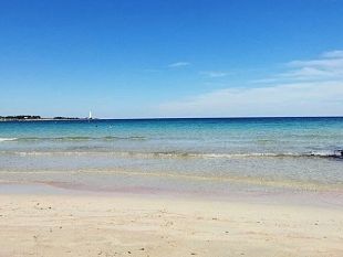 san-vito-lo-capo-avviata-campagna-a-salvaguardia-della-spiaggia