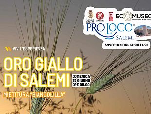 oro-giallo-di-salemi-il-30-giugno-si-potra-rivivere-lantica-tradizione-della-mietitura